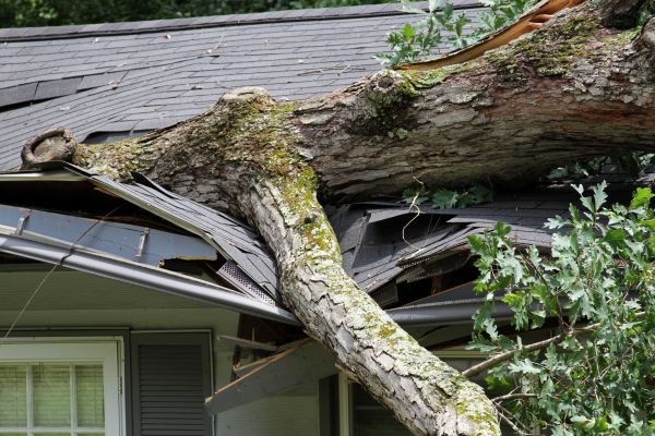 Storm Remediation in Dayton