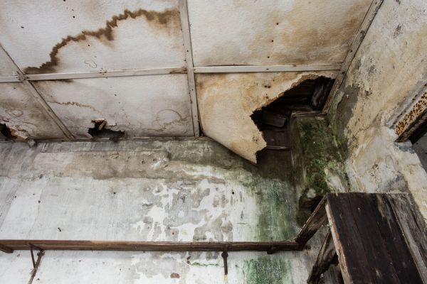 Water Damage Service in Dayton