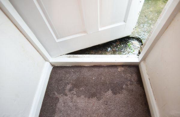 Wet Carpet Restoration in Dayton
