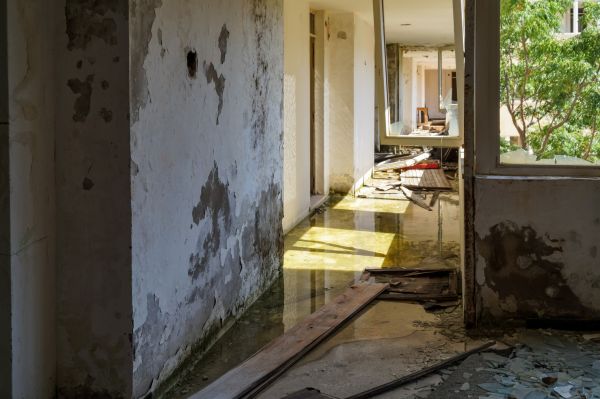 Cost of Water Removal Service in Dayton