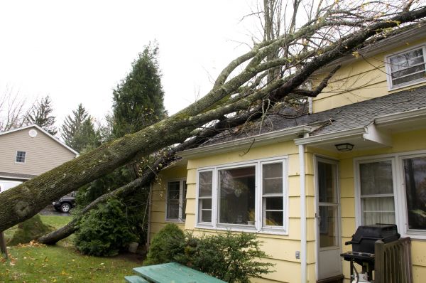 Hurricane Damage Repair in Dayton